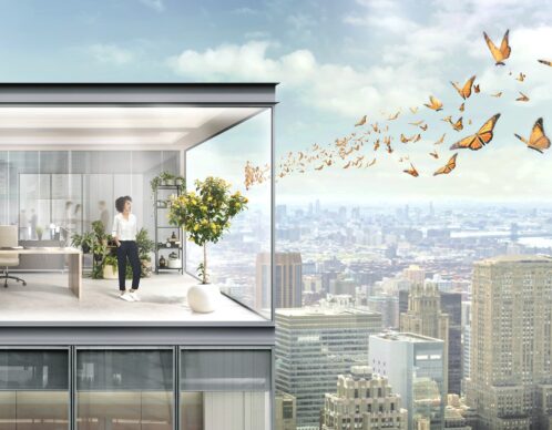 Photomontage aliaspauline st gobain cool lite building agence roughman illustrateur mil pat