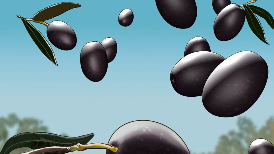 storyboard christophe bekret puget 02 agence roughman illustrateur mil pat