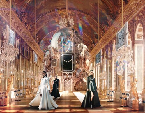 Photomontage orga ia cartier agence roughman illustrateur mil pat