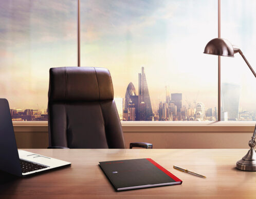 aliaspauline image hd oxford 2 agence roughman illustrateur mil pat