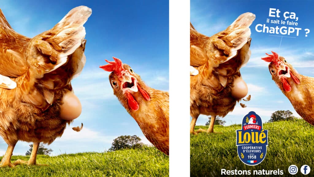 aliaspauline image hd poulet loue agence roughman illustrateur mil pat