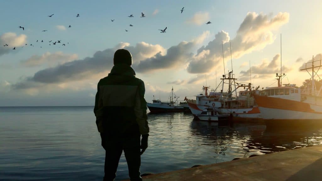 photoboard pavillon france 04 aliaspauline agence milpat Agence illustrateur roughmen Mil Pat