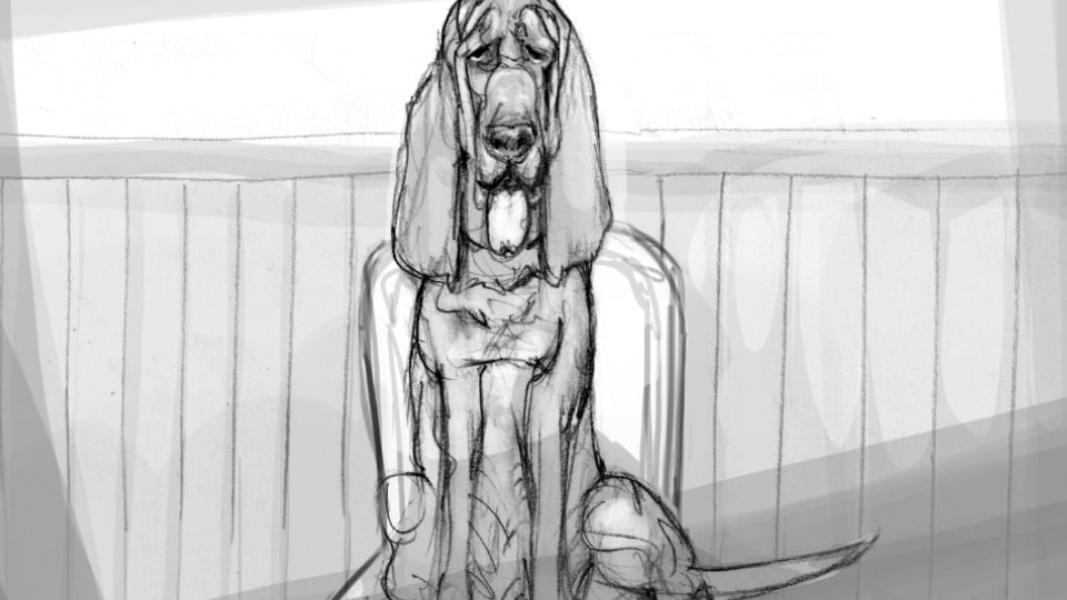 Storyboard max carnevale amazon 09 agence roughman illustrateur mil pat