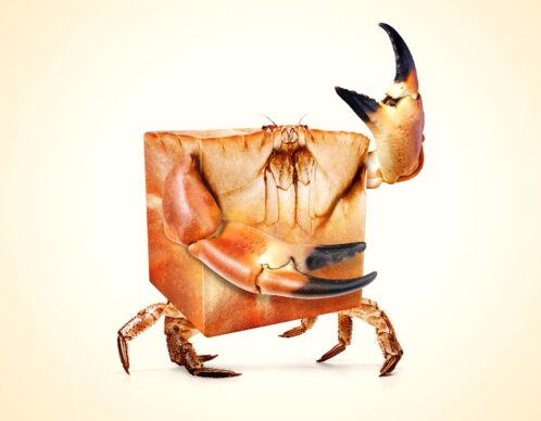 Photomontage aliaspauline apericube crabe copie agence roughman illustrateur mil pat