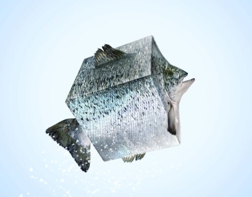 Photomontage aliaspauline apericube poisson copie agence roughman illustrateur mil pat