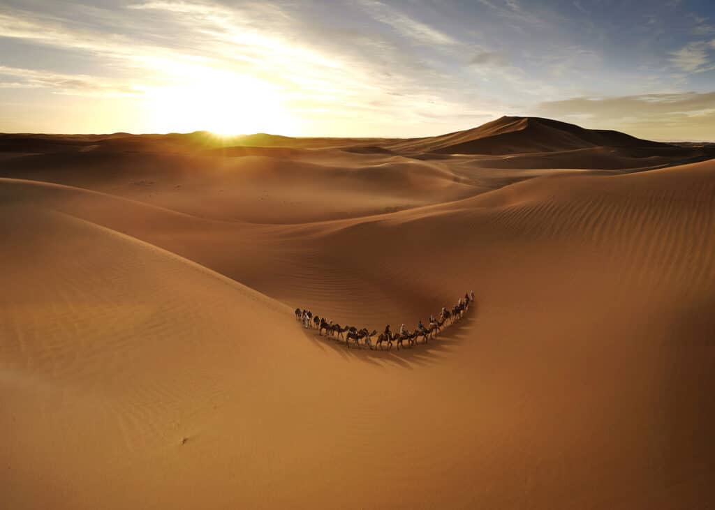 Photomontage aliaspauline desert office national tourisme tunisien agence roughman illustrateur mil pat