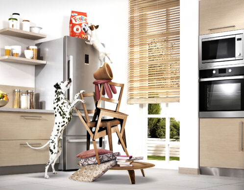 Photomontage aliaspauline frolic agence roughman illustrateur mil pat