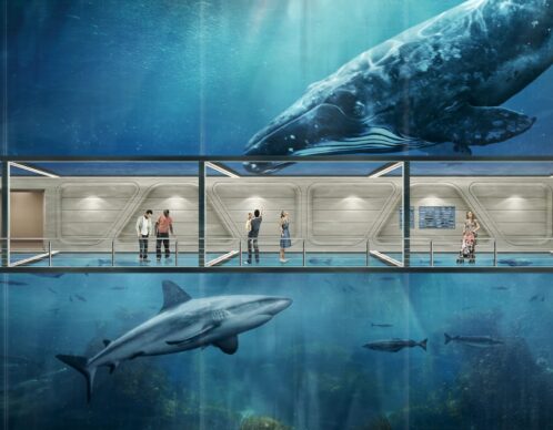 Photomontage aliaspauline st gobain stapid builder aquarium agence roughman illustrateur mil pat